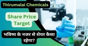Thirumalai Chemicals Share Price Target
