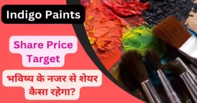 Indigo Paints Share Price Target 2023, 2024 2025, 2026, 2030