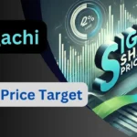 Sigachi Share Price Target
