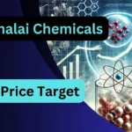 Thirumalai Chemicals Share Price Target