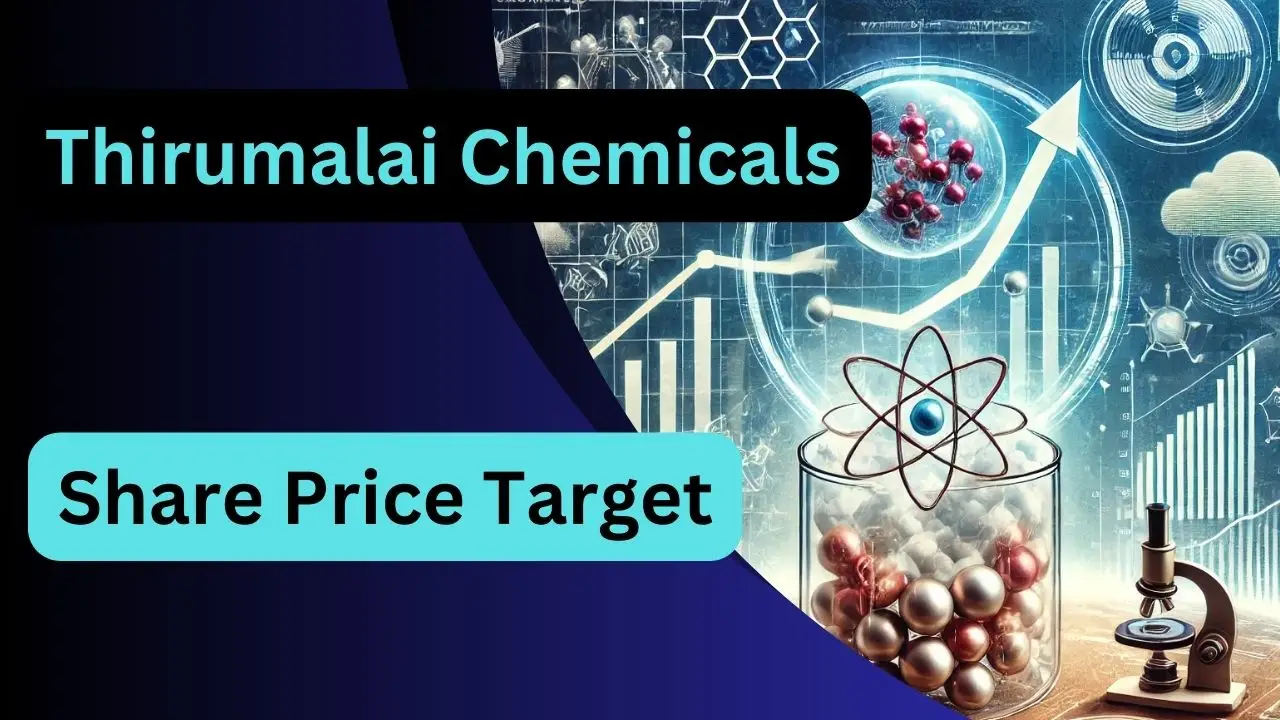 Thirumalai Chemicals Share Price Target