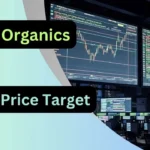 Laxmi Organics Share Price Target