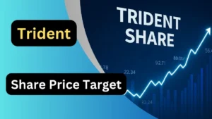 Trident Share Price Target