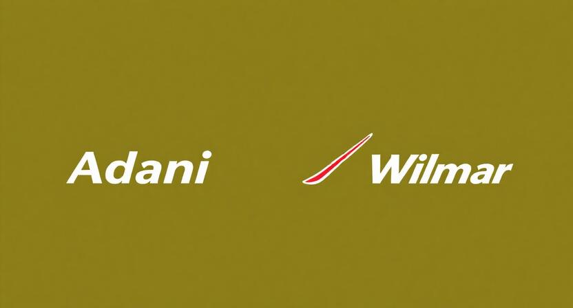 Adani Wilmar Share Price Target