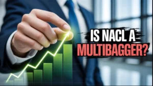 nacl industries share price target 2025 multibagger analysis