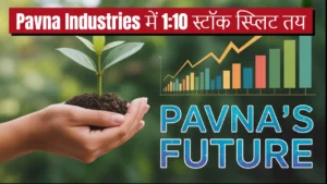 pavna industries stock split 2025 q1 results analysis