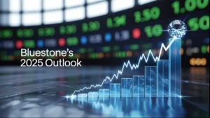 bluestone jewellery share price today analysis 2025