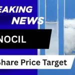 NOCIL Share Price Target