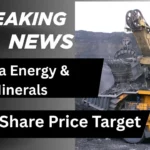 Sarda Energy & Minerals Share Price Target