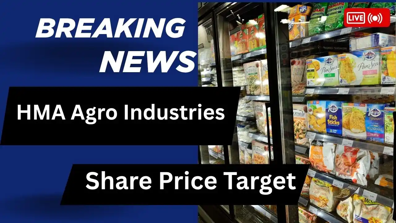 HMA Agro Industries Share Price Target