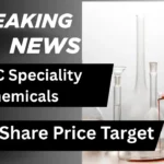 DMCC Speciality Chemicals Share Price